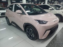 BYD Seagull 305km Freedom Edition - ფოტო 3