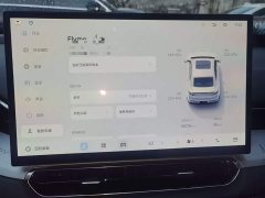 Geely Xingrui 2025 Oriental Radiance 1.5TD Kunlun Edition - ფოტო 11