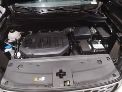 Ford Lingrui EcoBoost 170 Platinum Edition - ფოტო 19