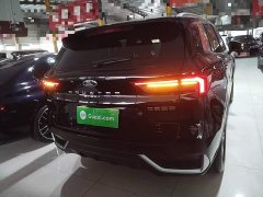 Ford Lingrui EcoBoost 170 Platinum Edition - ფოტო 5