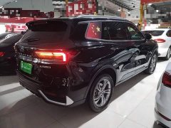 Ford Lingrui EcoBoost 170 Platinum Edition - ფოტო 6