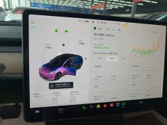 Tesla Model 3 Standard Range RWD Upgrade - ფოტო 7