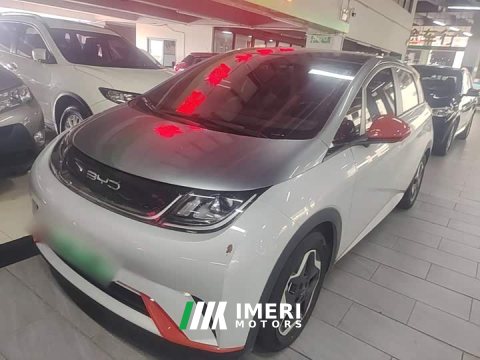 2022 BYD Dolphin 405km Fashion Edition - ავტომობილი ჩინეთიდან