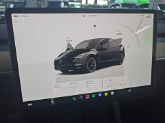 Tesla Model Y Rear-Wheel Drive - ფოტო 11