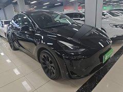 Tesla Model Y Rear-Wheel Drive - ფოტო 3