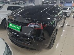 Tesla Model Y Rear-Wheel Drive - ფოტო 6