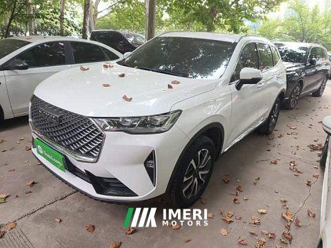 2021 Haval H6 Third Generation 1.5T Automatic Two-Wheel Drive Pro - ავტომობილი ჩინეთიდან