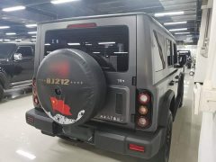 Im Explorer 2.0T Adventure Edition - ფოტო 6