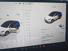 Tesla Model Y 2022 Facelift Rear-Wheel Drive - ფოტო 11