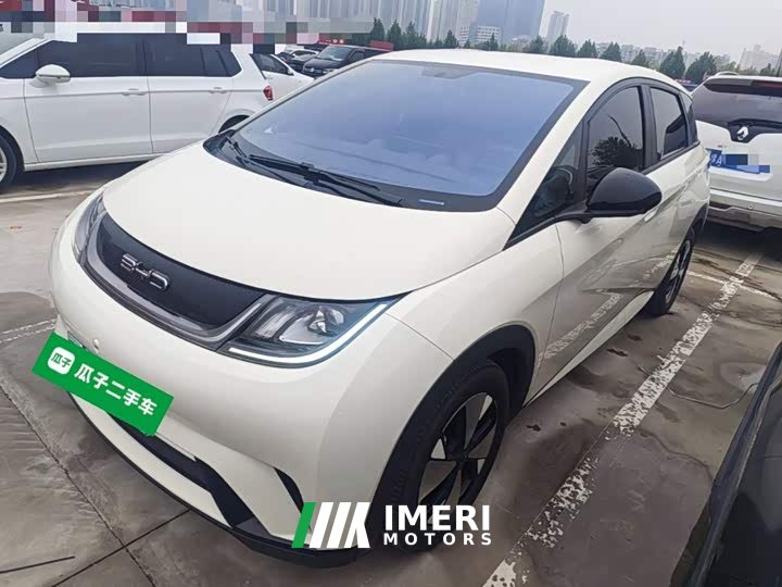 BYD Dolphin 420km Freedom Edition - ავტომობილი ჩინეთიდან