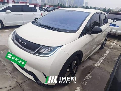 2023 BYD Dolphin 420km Freedom Edition - ავტომობილი ჩინეთიდან