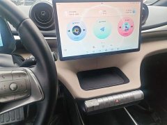 BYD Dolphin 420km Freedom Edition - ფოტო 12