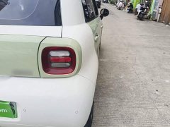 Ora Black Cat 351km Comfort Ternary Lithium - ფოტო 7