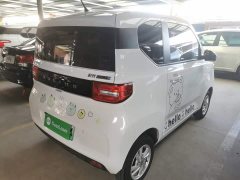 Wuling Hongguang MINIEV 2020 Zizai Trim Ternary Lithium - ფოტო 6