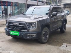 Great Wall Dachshund 2024 2.0T DCT Chinese Rural Dog Edition - ფოტო 1
