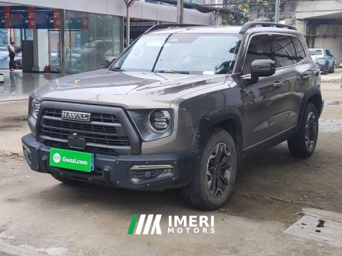 2023 Great Wall Dachshund 2024 2.0T DCT Chinese Rural Dog Edition - ავტომობილი ჩინეთიდან