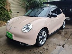 ORA Good Cat 401km Standard Range Deluxe LFP - ფოტო 1