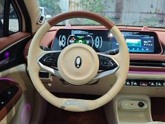 ORA Good Cat 401km Standard Range Deluxe LFP - ფოტო 10