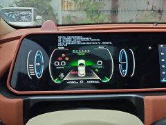 ORA Good Cat 401km Standard Range Deluxe LFP - ფოტო 11