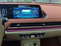 ORA Good Cat 401km Standard Range Deluxe LFP - ფოტო 12