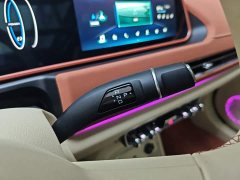 ORA Good Cat 401km Standard Range Deluxe LFP - ფოტო 13