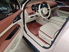 ORA Good Cat 401km Standard Range Deluxe LFP - ფოტო 15