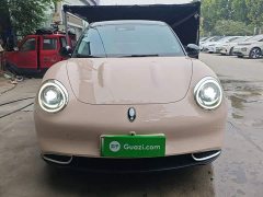 ORA Good Cat 401km Standard Range Deluxe LFP - ფოტო 2