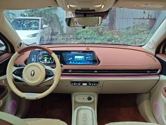 ORA Good Cat 401km Standard Range Deluxe LFP - ფოტო 9