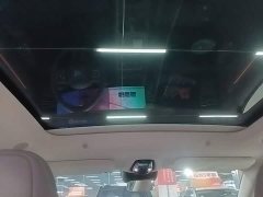 IM Motors Zhiji LS6 Extended Range 52 Max - ფოტო 17