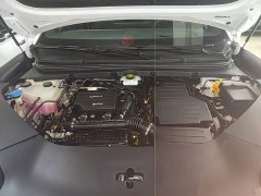 BYD Sealion 06 DM-i 205 Pilot Plus - ფოტო 19