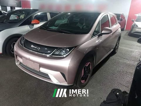 2023 BYD Dolphin 405km Fashion Edition - ავტომობილი ჩინეთიდან
