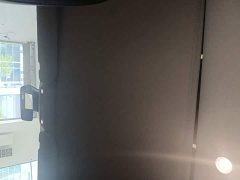 Tesla Model 3 Standard Range RWD Upgrade 3D6 - ფოტო 17