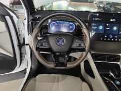 BYD Song Pro New Energy 2022 DM-i 110km Flagship Pro - ფოტო 10