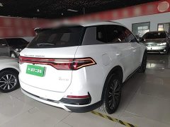 BYD Song Pro New Energy 2022 DM-i 110km Flagship Pro - ფოტო 6