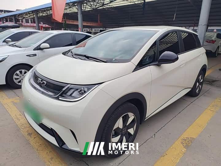 BYD Dolphin 420km Freedom Edition