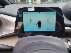 BYD Dolphin 2025 420km Freedom Edition - ფოტო 11