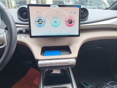 BYD Dolphin 2025 420km Freedom Edition - ფოტო 12