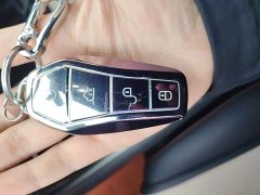 BYD Dolphin 2025 420km Freedom Edition - ფოტო 8
