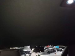 BYD Qin L DM-i 128KM Leading Edition - ფოტო 17