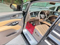 Denza D9 2022 DM-i 970 AWD Flagship - ფოტო 15