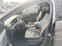 Ford Edge PLUS EcoBoost 245 AWD Premium 7-Seater - ფოტო 14