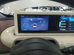 Wuling Binguo 333km Joy Edition - ფოტო 11