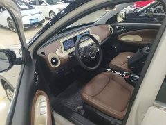 Wuling Binguo 333km Joy Edition - ფოტო 15