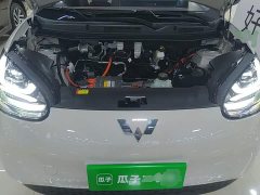 Wuling Binguo 333km Joy Edition - ფოტო 19
