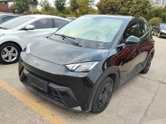 BYD Seagull Vitality Edition - ფოტო 1