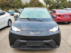 BYD Seagull Vitality Edition - ფოტო 2
