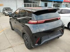 BYD Seagull Vitality Edition - ფოტო 4