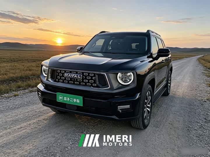Haval Big Dog PLUS 2023 1.5T Two-Wheel Drive Trendy Wilderness Edition Plus - ავტომობილი ჩინეთიდან