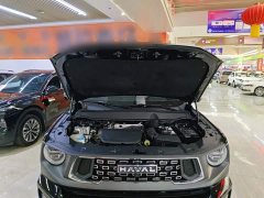 Haval Big Dog PLUS 2023 1.5T Two-Wheel Drive Trendy Wilderness Edition Plus - ფოტო 19