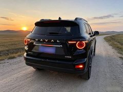 Haval Big Dog PLUS 2023 1.5T Two-Wheel Drive Trendy Wilderness Edition Plus - ფოტო 6